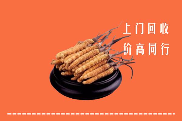 高价求购：东海县回收散虫草